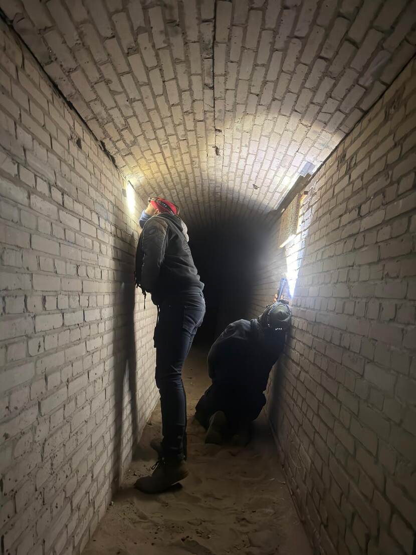 Meervleermuizen tellen in bunkers Waalsdorpervlakte