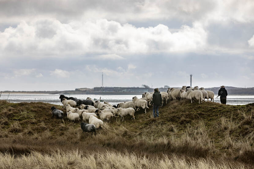 Terreinbeheer Texel