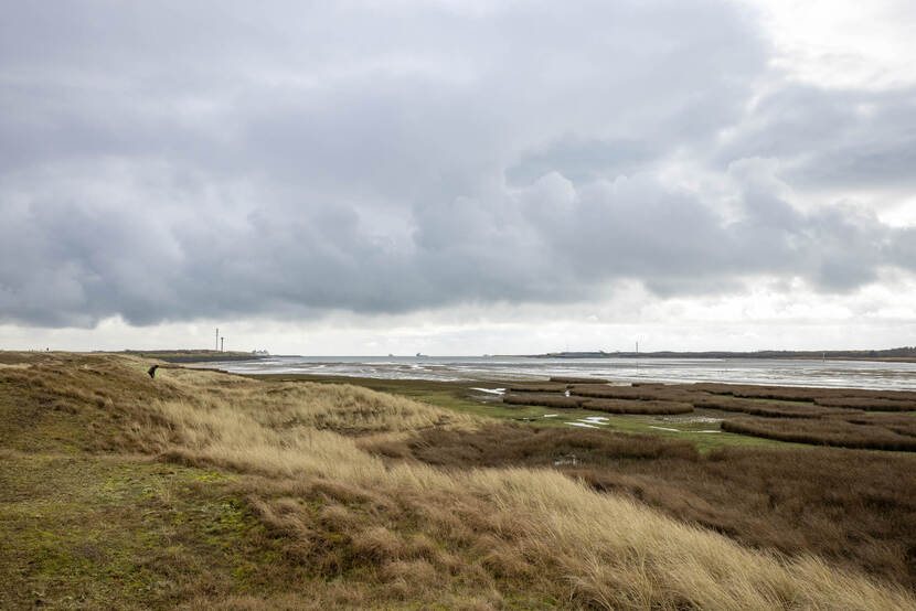 Terreinbeheer Texel